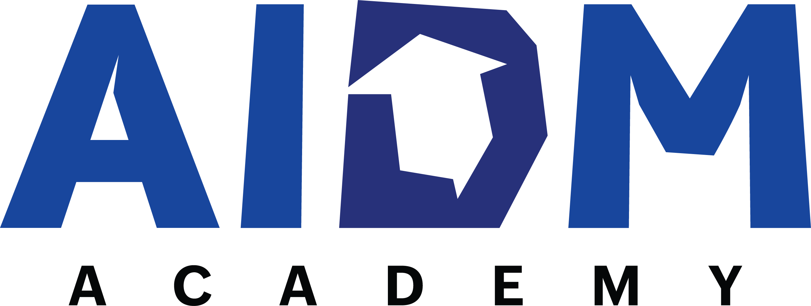 AIDM Academy LOGO